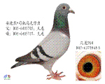 968