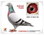 У319
