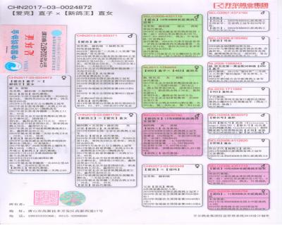 点击查看此商品大图片
