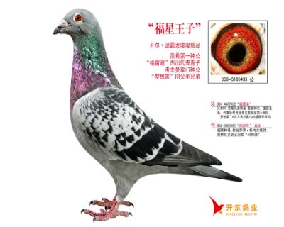 点击查看此商品大图片