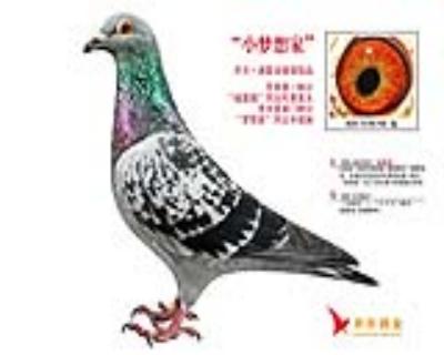 点击查看此商品大图片