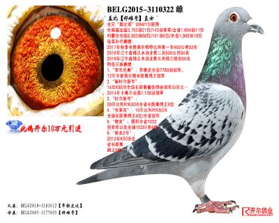 点击查看此商品大图片