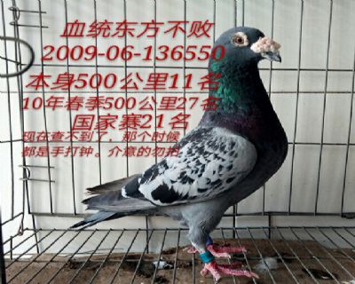 东方不败