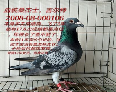 桑杰士吉尔特