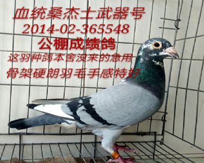 桑杰士武器号