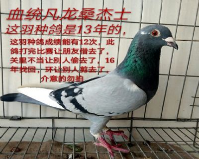 凡龙桑杰士