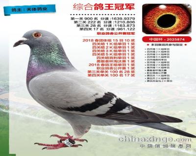 天体有好鸽好鸽在天体!2018年第二十六期视频简介